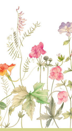 French Floral Guest Towel Napkins